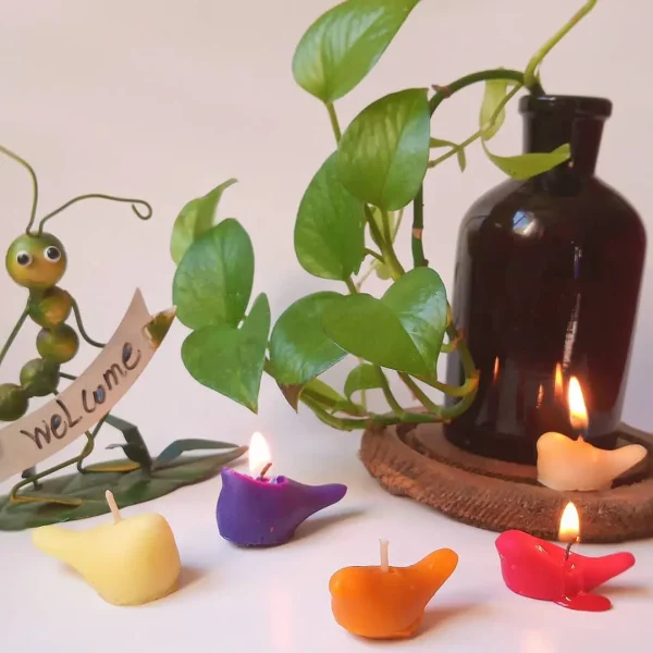 پک شمع وارمر پرنده کوچک (شمع وارمر گنجشک) برند شمع نورا